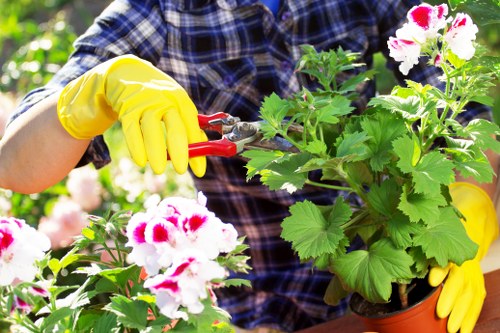 Professional gardener inspecting a residential garden in Hounslow