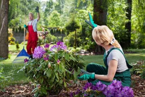 Seasonal garden planting by Gardeners Hounslow