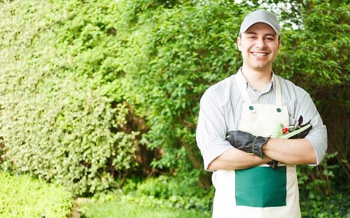 Safe tree removal process by professionals